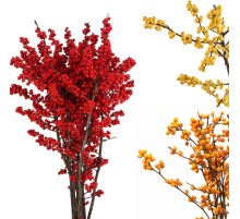 Илекс Микс (1 ветка)