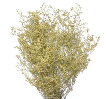 Кермек Желтый сухоцвет (1 ветка)