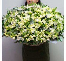 Букет 299 Белых Фрезий в корзине