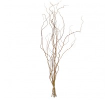 Саликс сухоцвет от 50 до 100 см. (1 ветка)
