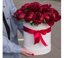 Букет из 25 Пионов Красных в коробке