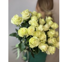 Моно букет из 25 Белых Роз Эквадор
