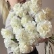 Моно букет «Dianthus», белые, ажурные и стойкие гвоздички