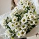 Букет «Весна», 7 веточек хризантемы сантини