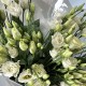 Моно букет из эустомы белой, 9 веточек
